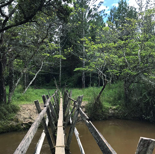 Trekking di Jalur Pegunungan